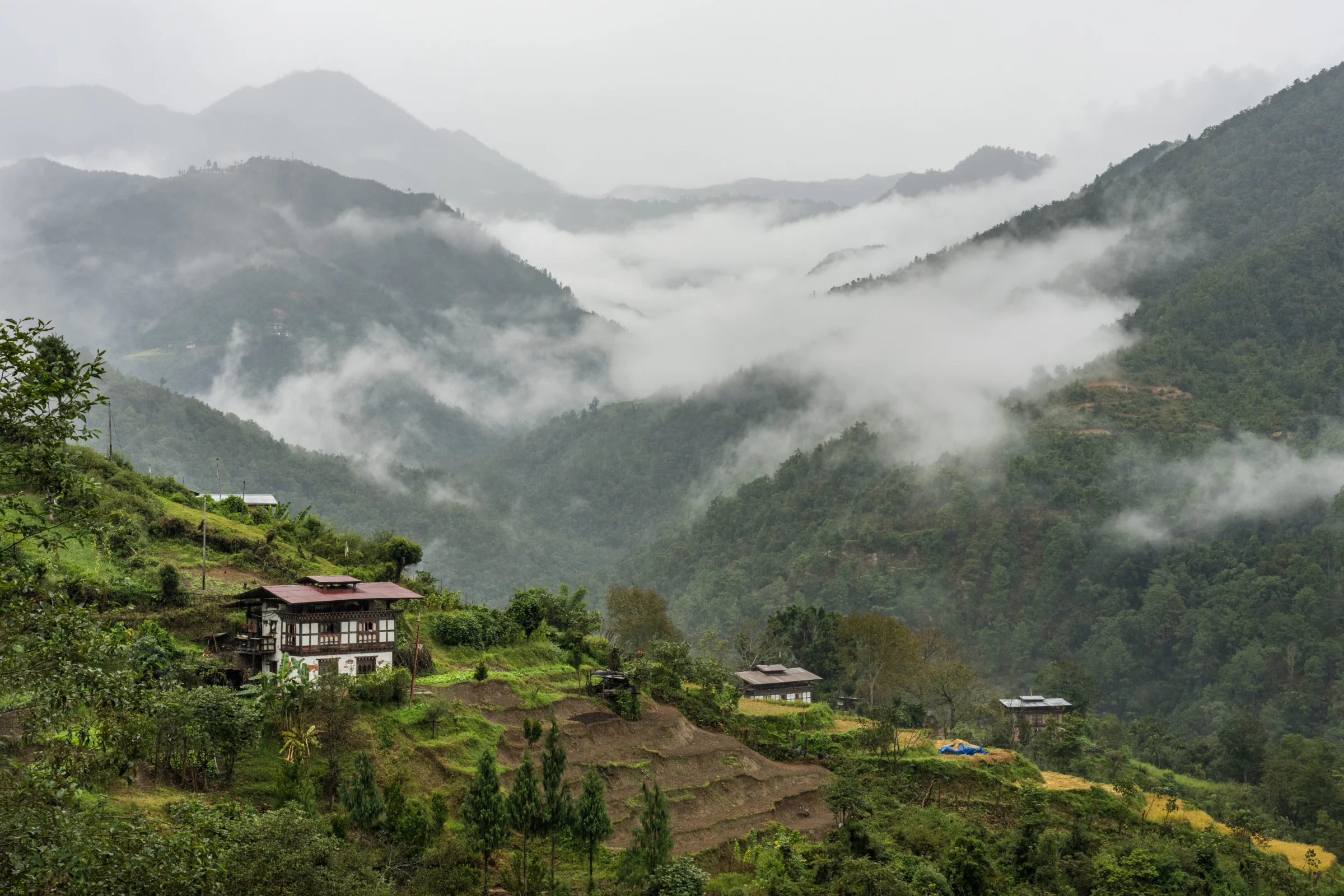 Mist drifting over forested mountains in Bhutan