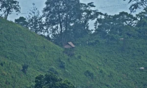 Forested hills of Samdrup Jongkhar