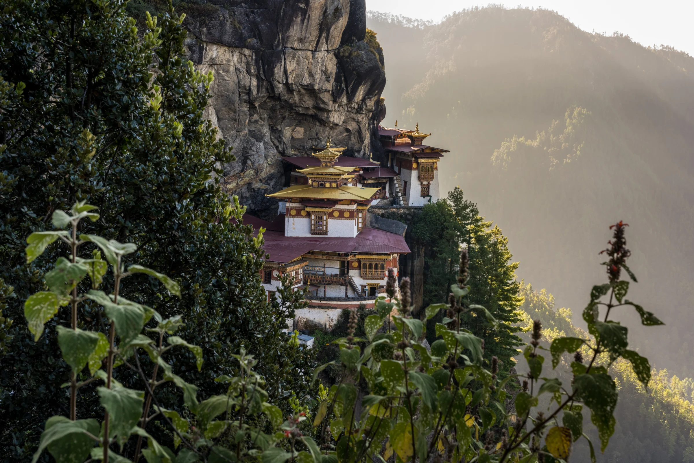 Paro Taktsang (Tiger's Nest) seen through the forest